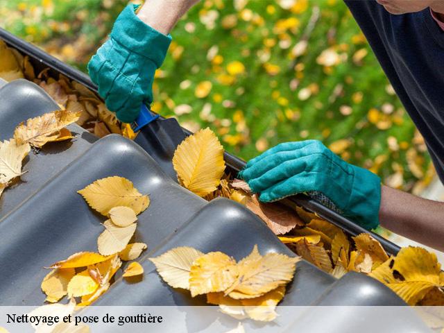 Nettoyage et pose de gouttière