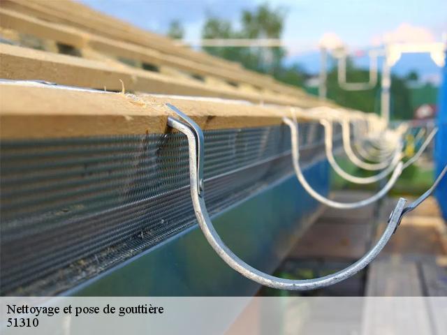 Nettoyage et pose de gouttière 51310