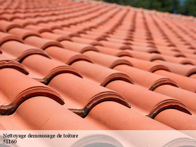 Nettoyage demoussage de toiture 51160