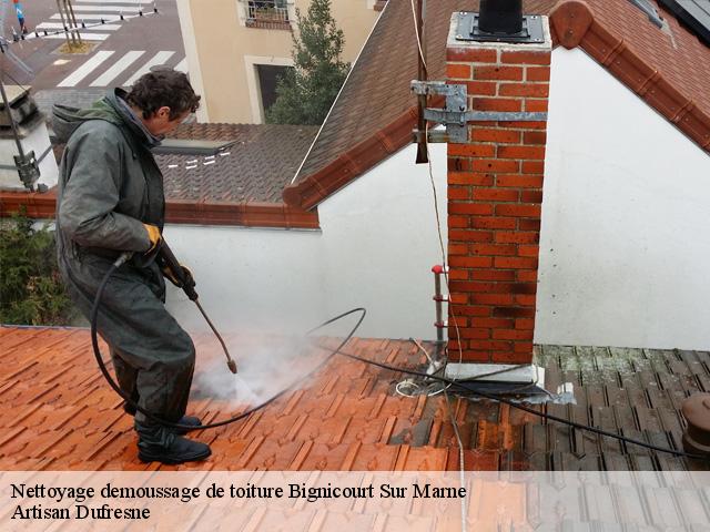 Nettoyage demoussage de toiture bignicourt-sur-marne-51300 Artisan Dufresne