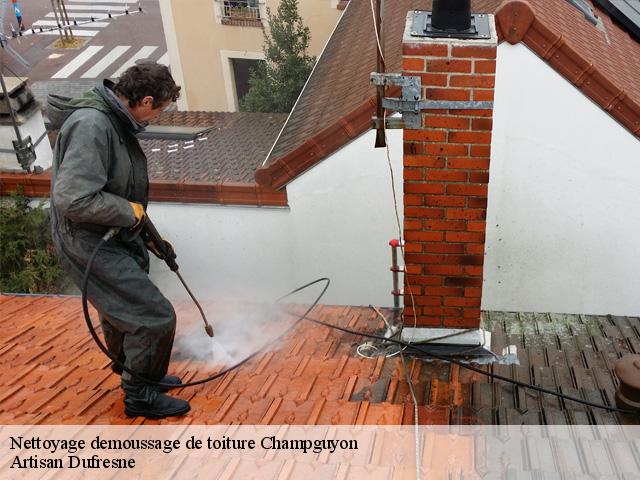 Nettoyage demoussage de toiture  champguyon-51310 Artisan Dufresne