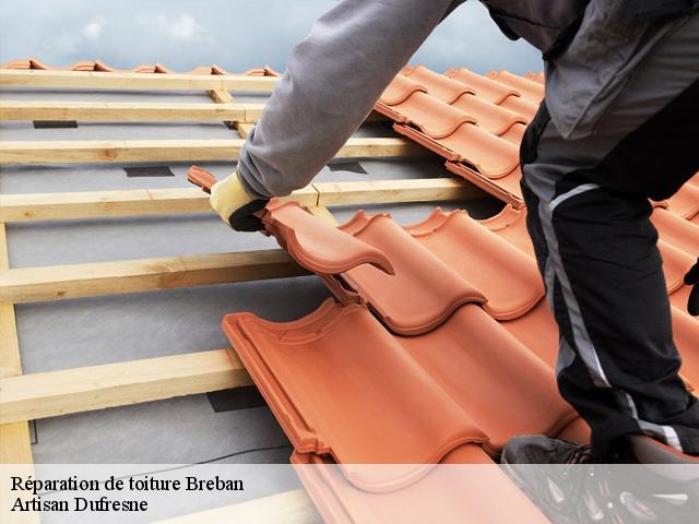 Réparation de toiture  breban-51320 Artisan Dufresne