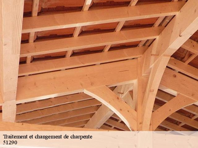 Traitement et changement de charpente 51290