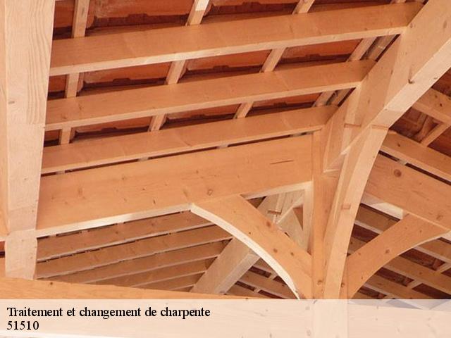 Traitement et changement de charpente 51510